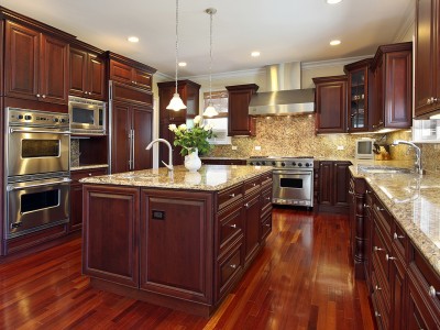 luxury_kitchen_luxury_tampa_real_estate